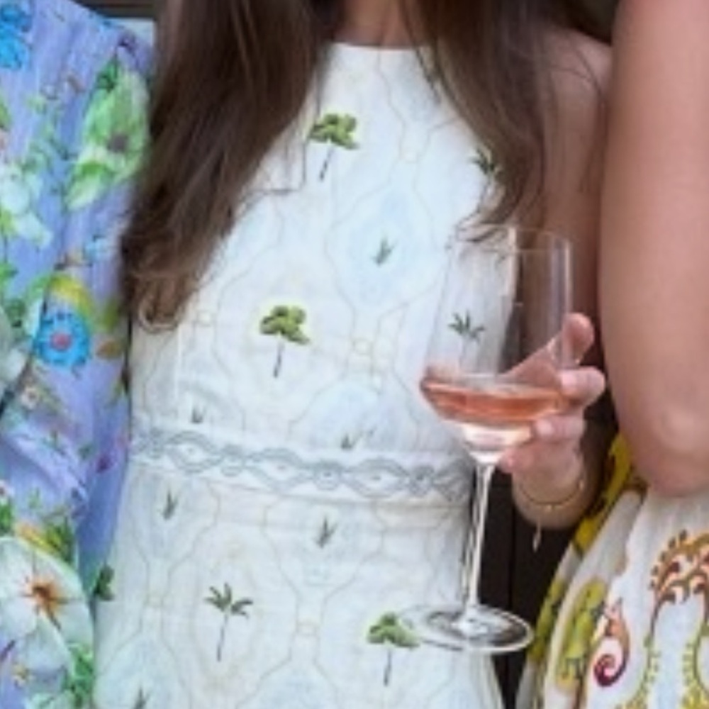 Agua Bendita Cream Maxi Halter Dress with Green Palm Print - Picture 9 of 9